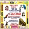 Panda Sklep Zoologiczny W Walbrzychu - panda sklep zoologiczny