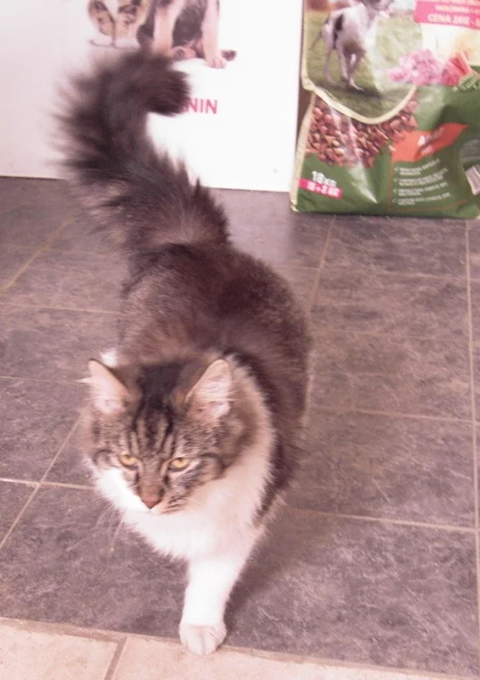 Zdjęcie z galerii