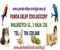 Zdjęcie z galerii