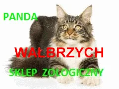 Zdjęcie z galerii