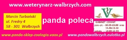 Zdjęcie z galerii